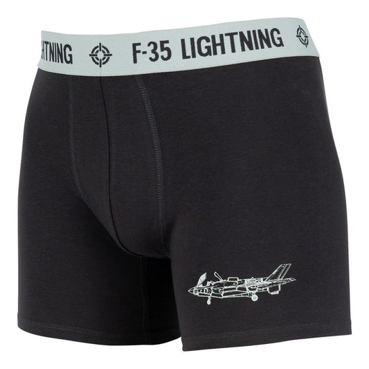Boxer "F-35 Lightning"--Fostex WWII Series